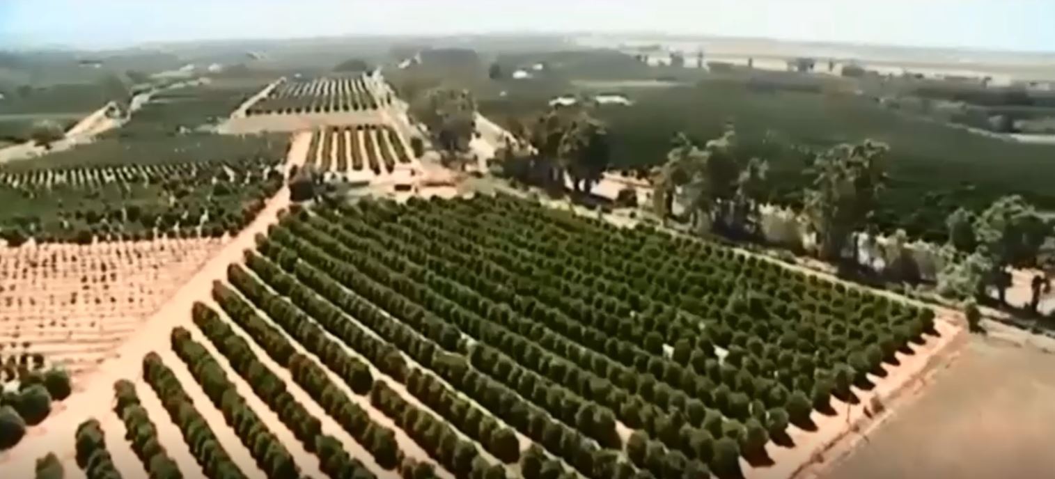 Heraa construction project bir-albd